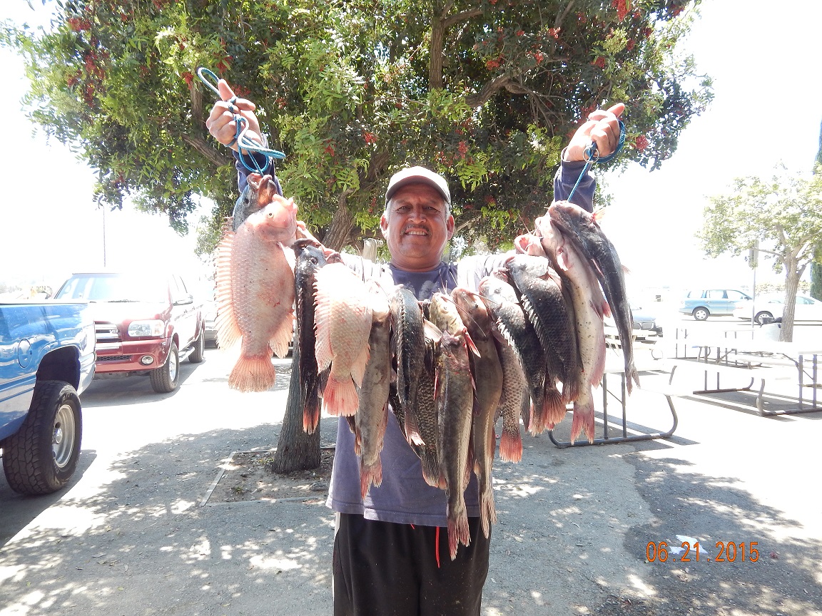 Santiago Placious of W. Covina fished back to back overnight sessions and caught 10 tilapia and 10 catfish totaling 40 pounds using night-WEB