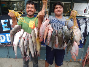 Kevin & Isidoro Salgado of Hesperia caught 16 tilapia & 9 catfish totaling 20 pounds 12 ounces