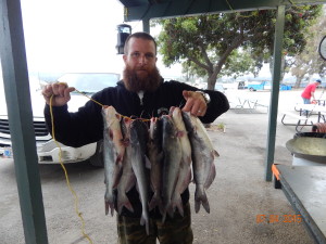 Will Hanacheck of Fullerton caught 7 catfish totaling 14 pounds