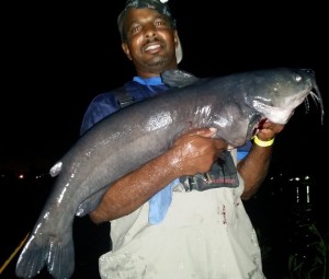 Rick Kizzee of Los Angeles caught and released a 34 pound 8 ounce catfish