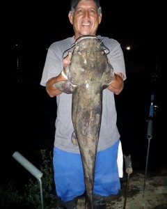 Santiago Palacious of W. Covina caught and released a 13 pound catfish also in the Catfish Lake using shrimp