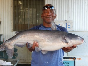 Doug Cherry of Placentia caught a 13 pound catfish fishing at the Bubble Hole using mackerel