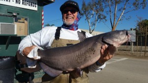 Richard Smith of Covina caught & released a 23 pound catfish
