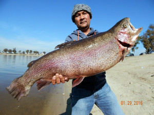 Jose Chua of San Gabriel caught a 22 pound SUPER TROUT using garlic PowerBait