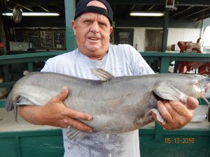 Dan Freeman with a 23 pound catfish