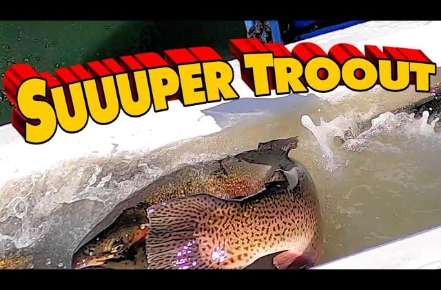 11/24/21 STOCKING SUPER TROUT & THOUSANDS OF SIERRA BOWS AT SANTA ANA RIVER LAKES