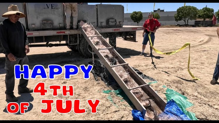 HAPPY 4TH OF JULY STOCKING CATFISH & TILAPIA AT SANTA ANA RIVER LAKES
